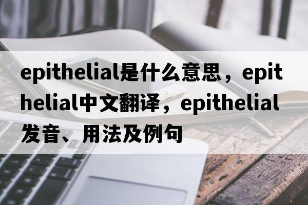 epithelial是什么意思，epithelial中文翻譯，epithelial發(fā)音、用法及例句