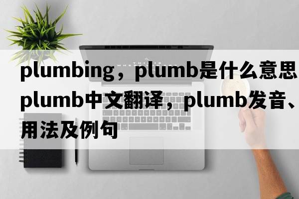plumbing，plumb是什么意思，plumb中文翻譯，plumb發(fā)音、用法及例句