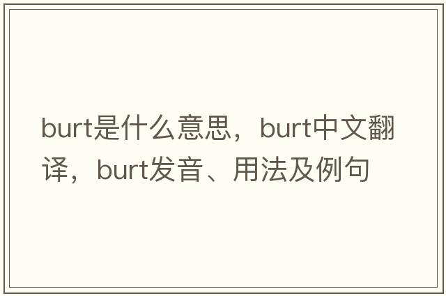 Burt是什么意思，Burt中文翻譯，Burt發(fā)音、用法及例句