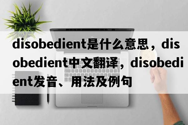 disobedient是什么意思，disobedient中文翻譯，disobedient發(fā)音、用法及例句
