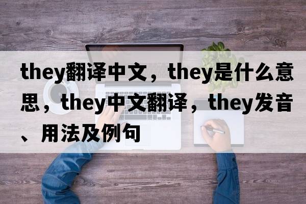 they翻譯中文，they是什么意思，they中文翻譯，they發(fā)音、用法及例句