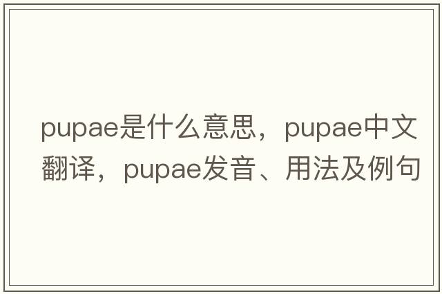 pupae是什么意思，pupae中文翻譯，pupae發(fā)音、用法及例句
