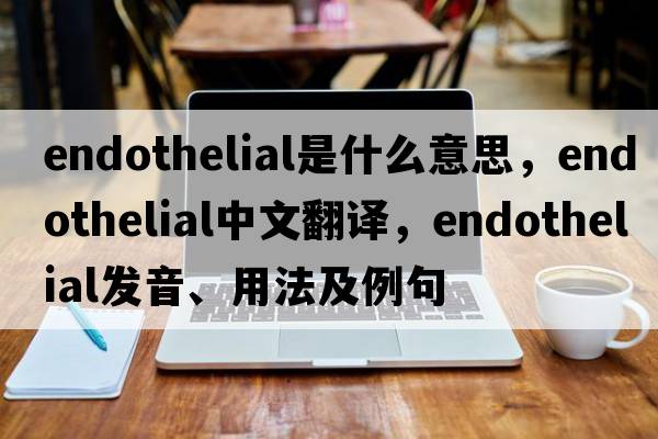 endothelial是什么意思，endothelial中文翻譯，endothelial發(fā)音、用法及例句