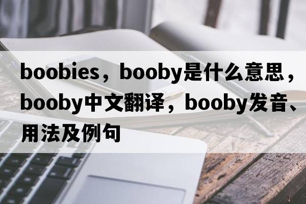 boobies，booby是什么意思，booby中文翻譯，booby發(fā)音、用法及例句