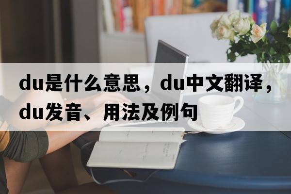du是什么意思，du中文翻譯，du發(fā)音、用法及例句