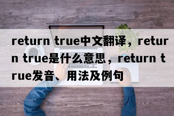 return true中文翻譯，return true是什么意思，return true發(fā)音、用法及例句