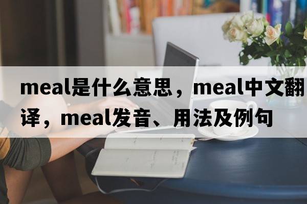 meal是什么意思，meal中文翻譯，meal發(fā)音、用法及例句