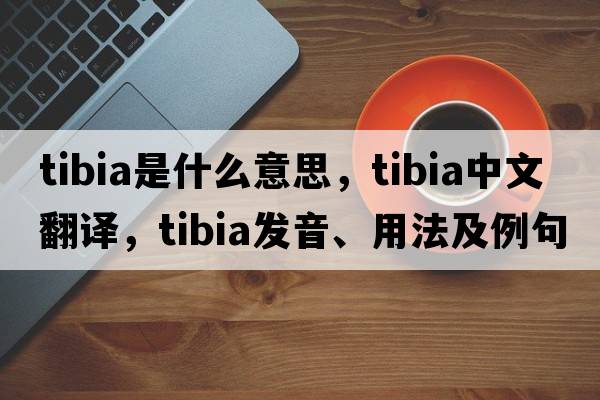 tibia是什么意思，tibia中文翻譯，tibia發(fā)音、用法及例句