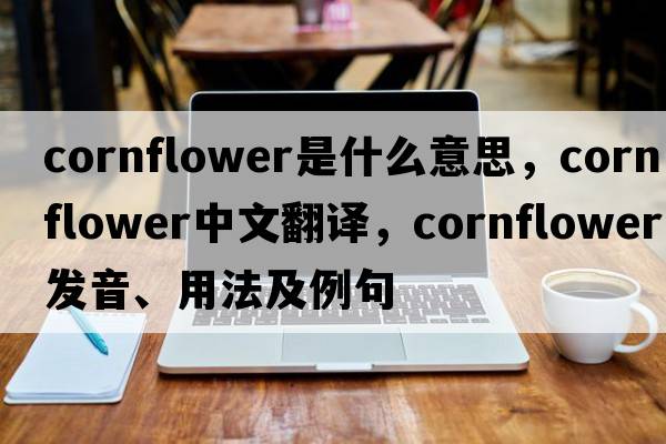 cornflower是什么意思，cornflower中文翻譯，cornflower發(fā)音、用法及例句