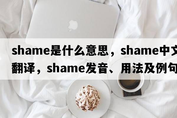 shame是什么意思，shame中文翻譯，shame發(fā)音、用法及例句