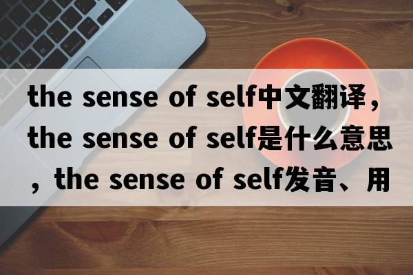 the sense of self中文翻譯，the sense of self是什么意思，the sense of self發(fā)音、用法及例句