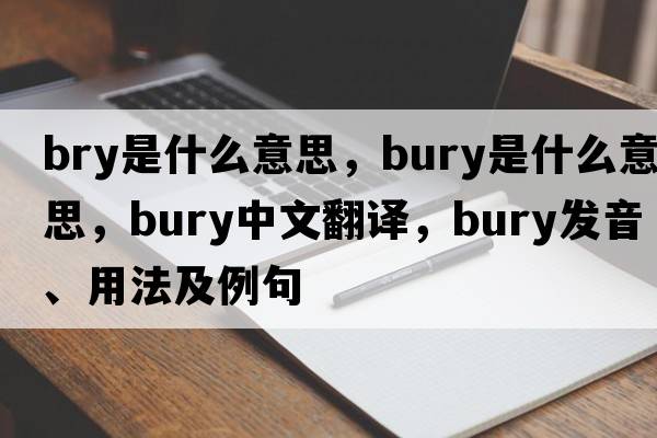 bry是什么意思，bury是什么意思，bury中文翻譯，bury發(fā)音、用法及例句