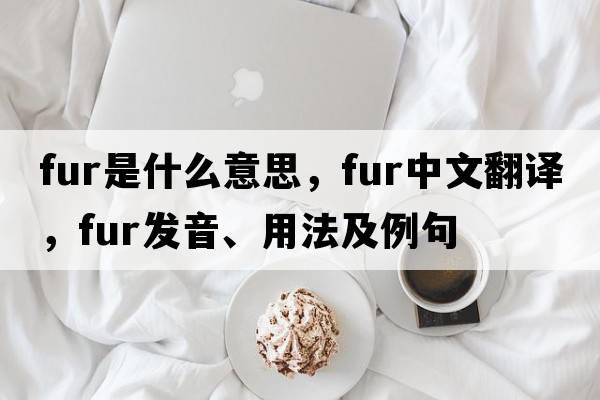 fur是什么意思，fur中文翻譯，fur發(fā)音、用法及例句