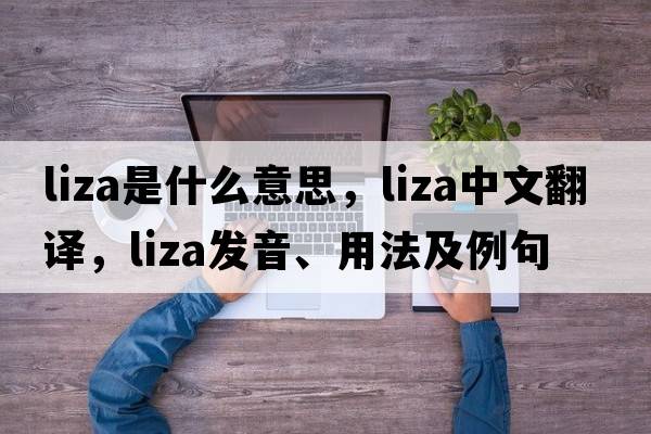 LIZA是什么意思，LIZA中文翻譯，LIZA發(fā)音、用法及例句
