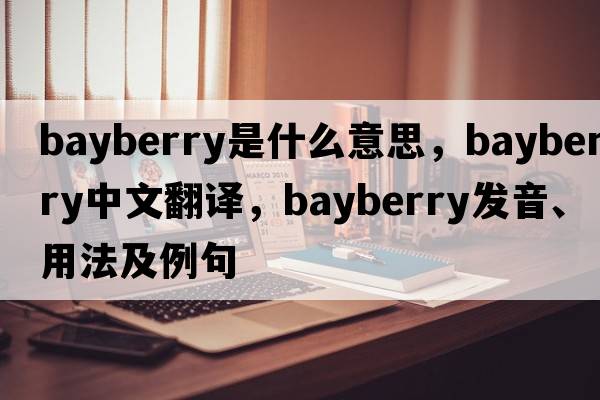 bayberry是什么意思，bayberry中文翻譯，bayberry發(fā)音、用法及例句