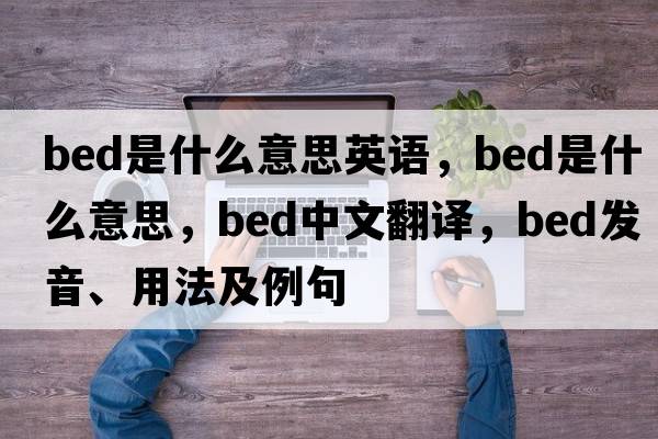 bed是什么意思英語(yǔ)，bed是什么意思，bed中文翻譯，bed發(fā)音、用法及例句