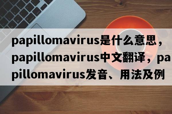 papillomavirus是什么意思，papillomavirus中文翻譯，papillomavirus發(fā)音、用法及例句