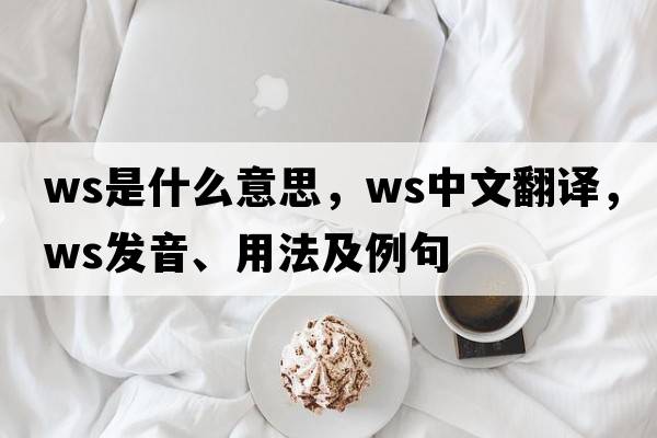 WS是什么意思，WS中文翻譯，WS發(fā)音、用法及例句
