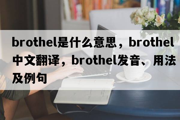 brothel是什么意思，brothel中文翻譯，brothel發(fā)音、用法及例句