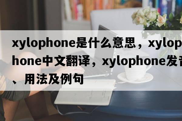 xylophone是什么意思，xylophone中文翻譯，xylophone發(fā)音、用法及例句