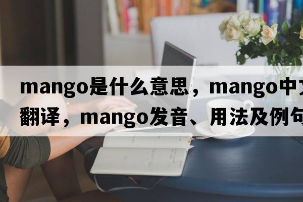 mango是什么意思，mango中文翻譯，mango發(fā)音、用法及例句