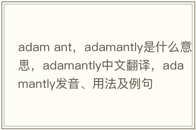 adam ant，adamantly是什么意思，adamantly中文翻譯，adamantly發(fā)音、用法及例句