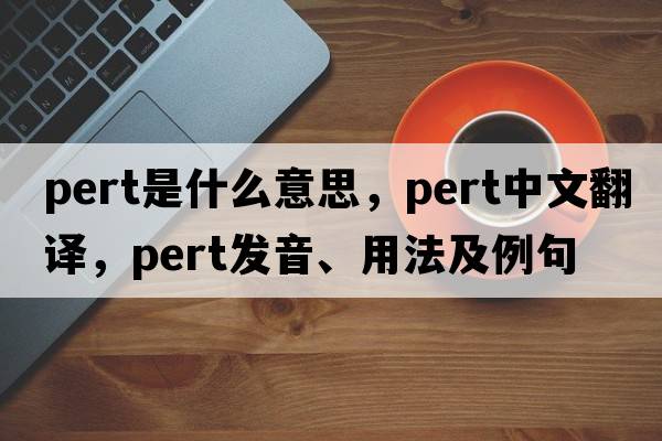 pert是什么意思，pert中文翻譯，pert發(fā)音、用法及例句
