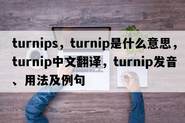 turnips，turnip是什么意思，turnip中文翻譯，turnip發(fā)音、用法及例句