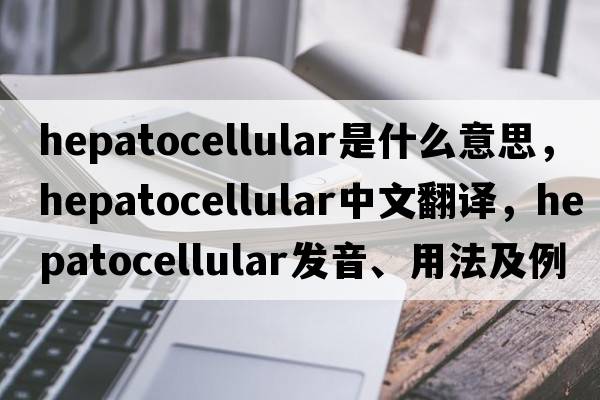 hepatocellular是什么意思，hepatocellular中文翻譯，hepatocellular發(fā)音、用法及例句