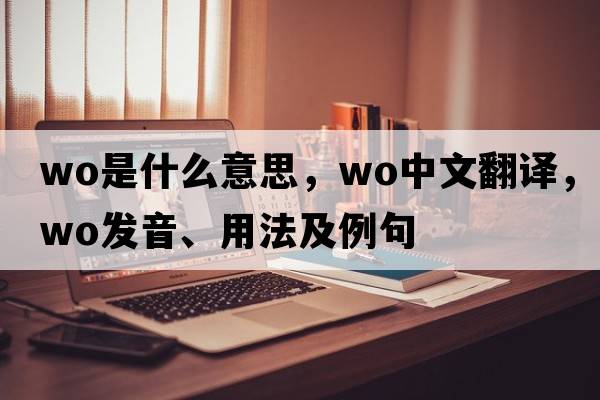 wo是什么意思，wo中文翻譯，wo發(fā)音、用法及例句