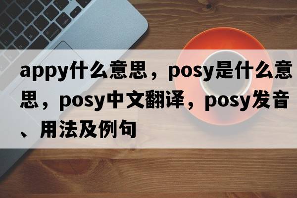 appy什么意思，posy是什么意思，posy中文翻譯，posy發(fā)音、用法及例句