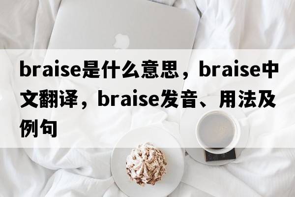 braise是什么意思，braise中文翻譯，braise發(fā)音、用法及例句
