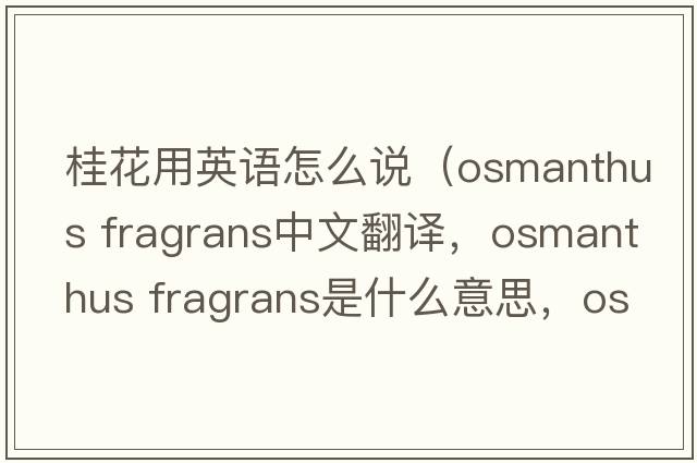 桂花用英語(yǔ)怎么說(shuō)（osmanthus fragrans中文翻譯，osmanthus fragrans是什么意思，osmanthus fragrans發(fā)音、用法及例句）