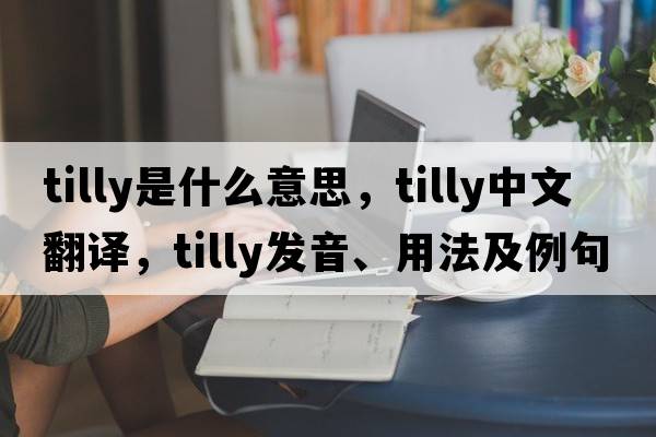 Tilly是什么意思，Tilly中文翻譯，Tilly發(fā)音、用法及例句