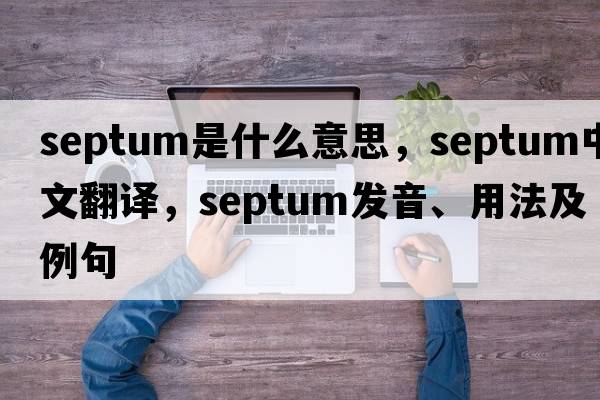 septum是什么意思，septum中文翻譯，septum發(fā)音、用法及例句