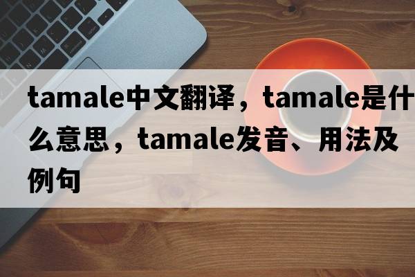 tamale中文翻譯，tamale是什么意思，tamale發(fā)音、用法及例句