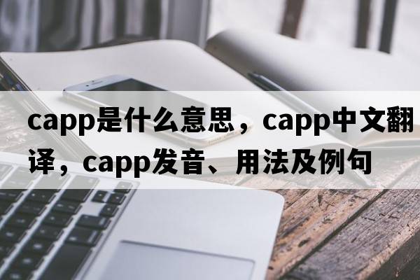 CAPP是什么意思，CAPP中文翻譯，CAPP發(fā)音、用法及例句