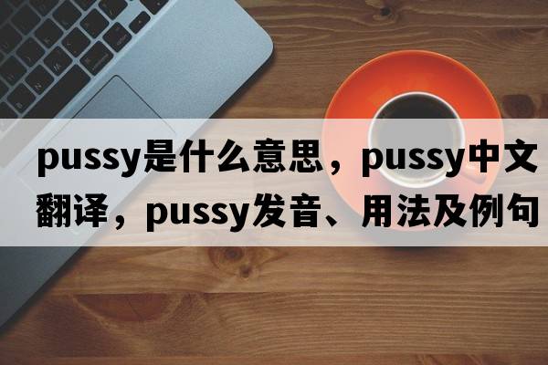 pussy是什么意思，pussy中文翻譯，pussy發(fā)音、用法及例句