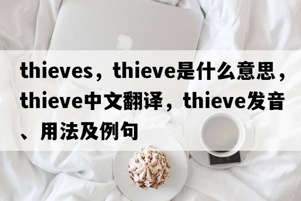 thieves，thieve是什么意思，thieve中文翻譯，thieve發(fā)音、用法及例句