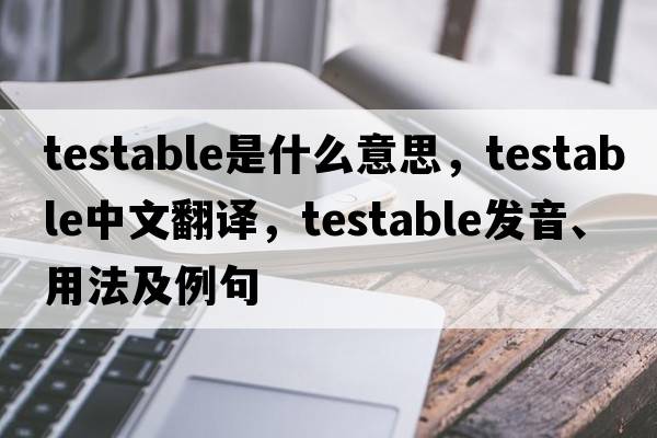 testable是什么意思，testable中文翻譯，testable發(fā)音、用法及例句