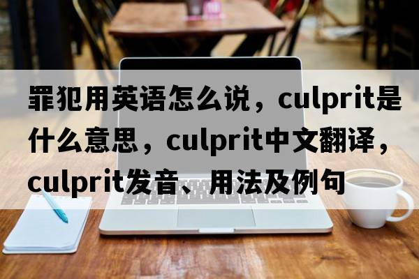 罪犯用英語(yǔ)怎么說(shuō)，culprit是什么意思，culprit中文翻譯，culprit發(fā)音、用法及例句
