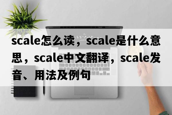 scale怎么讀，scale是什么意思，scale中文翻譯，scale發(fā)音、用法及例句