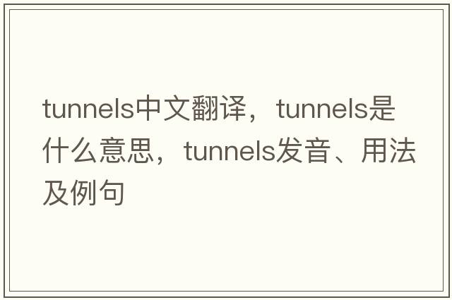 tunnels中文翻譯，tunnels是什么意思，tunnels發(fā)音、用法及例句
