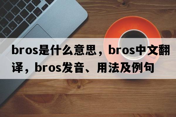 BROS是什么意思，BROS中文翻譯，BROS發(fā)音、用法及例句