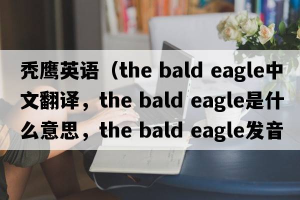 禿鷹英語(yǔ)（the bald eagle中文翻譯，the bald eagle是什么意思，the bald eagle發(fā)音、用法及例句）
