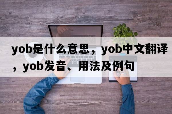 YOB是什么意思，YOB中文翻譯，YOB發(fā)音、用法及例句