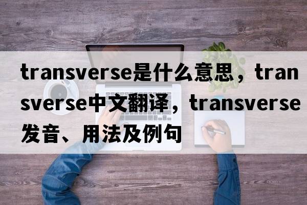 transverse是什么意思，transverse中文翻譯，transverse發(fā)音、用法及例句