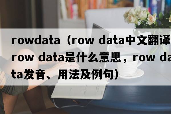 rowdata（row data中文翻譯，row data是什么意思，row data發(fā)音、用法及例句）