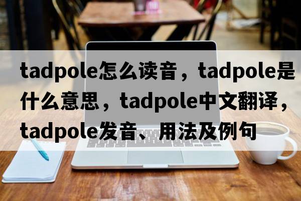 tadpole怎么讀音，tadpole是什么意思，tadpole中文翻譯，tadpole發(fā)音、用法及例句
