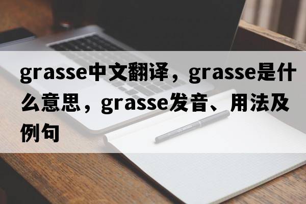 Grasse中文翻譯，Grasse是什么意思，Grasse發(fā)音、用法及例句
